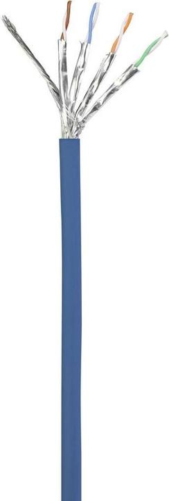 Actual product image Renkforce RF-5043918. cable length: 10 m, cable standard: Cat6a, cable shielding: S/FTP (S-STP), connection (S/FTP, CAT6a, 10 m)