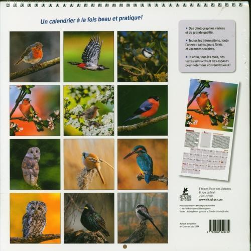 Produktbild Oiseaux de nos jardins : calendrier 2025 (Harter Einband, Französisch)