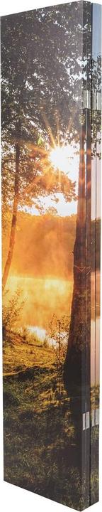 Actual product image Mendler Photo Paravent with Sound Insulation HWC-L55, Privacy Screen, 180x162cm Waldsee