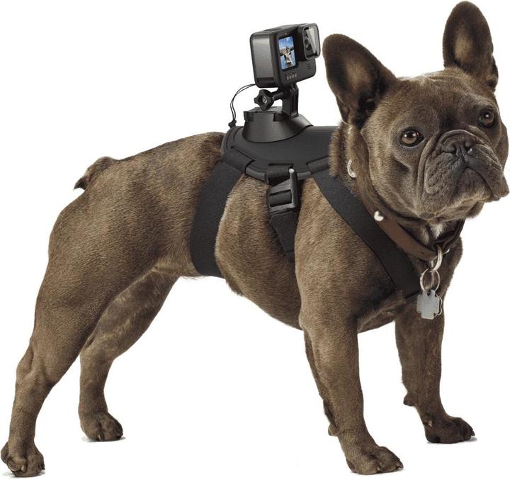 Produktbild GoPro Fetch Hundegeschirr (Hero 7, Universal, Osmo Action)