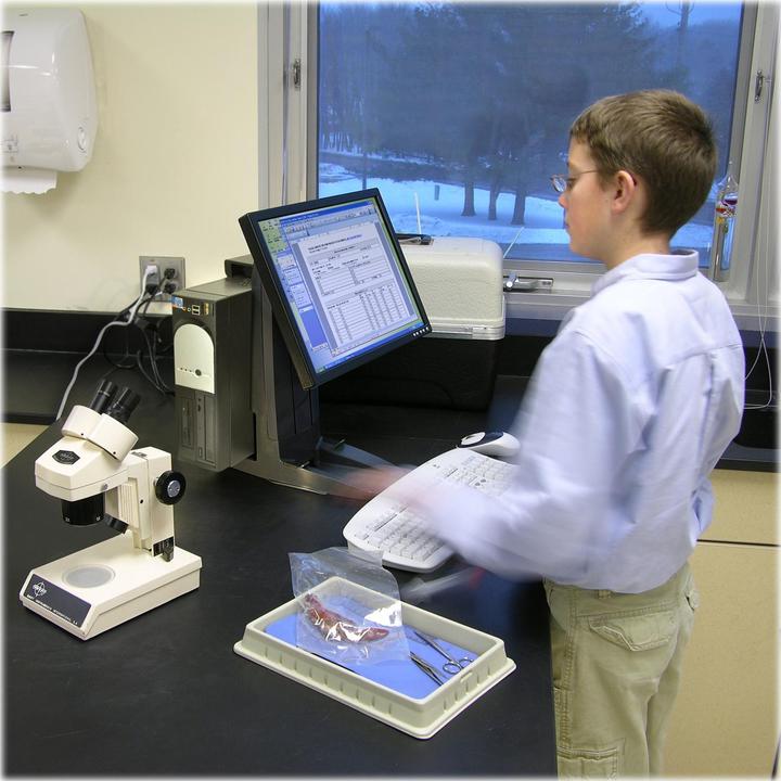 Produktbild Ergotron Neo-Flex Monitor Standfuss mit patentierter CF-Technologie (Tisch, 24")