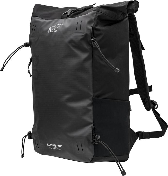 Actual product image Nanuq Alpine Pro (27 l)
