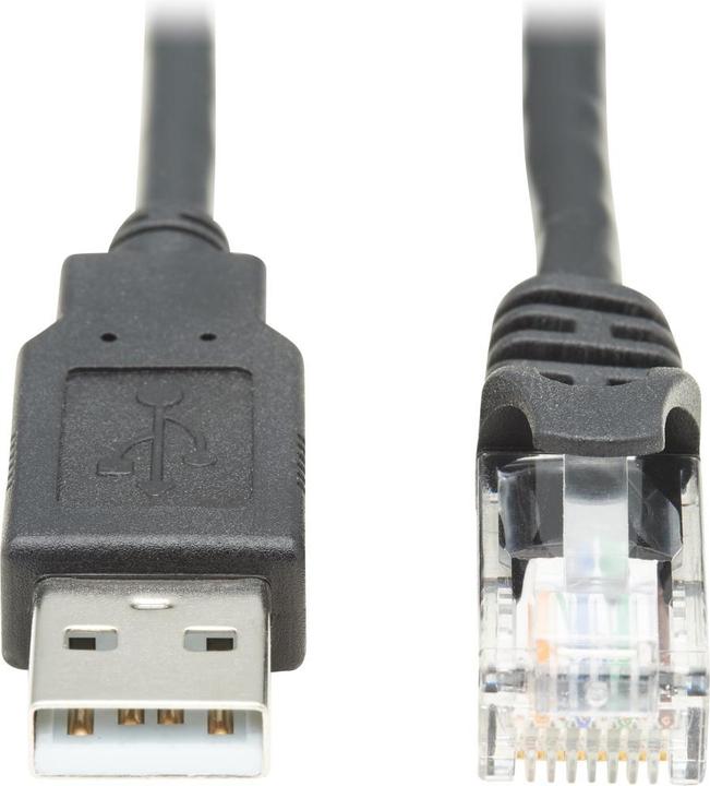 Image du produit Eaton USB-A to RJ45 Rollover Console Cable M/M - Cisco Compatible 250 Kbps 10ft. 3,05m Bla (3.05 m)