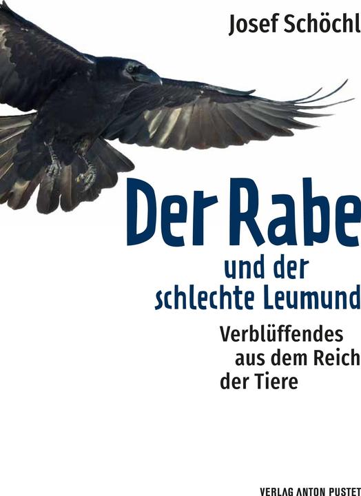 Produktbild Der Rabe und der schlechte Leumund (Deutsch, Josef Schöchl, 2022)