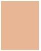 Actual product image Clarins Skin Illusion SPF15 No. 107 - Beige (107 Beige)