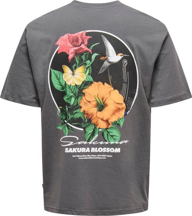 Produktbild Only & Sons Onskeane Rlx Ss Print Tee Noos (XXL)