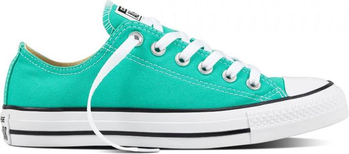 Actual product image Converse Chuck Taylor All Star Seasonal Colors (41)