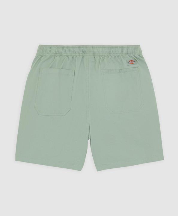 Image du produit Dickies Pelican Rapids (L)