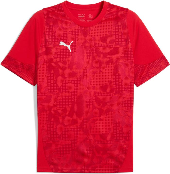 Puma teamCUP Training Jersey