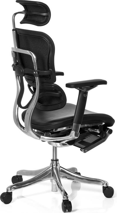 Actual product image Hjh Office Ergohuman Plus Legpro