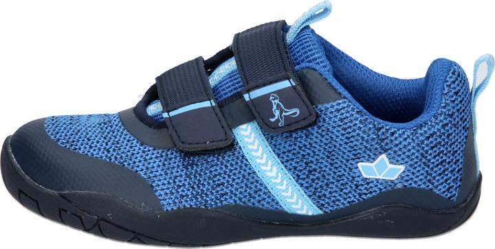 Actual product image Lico Aride V (24)