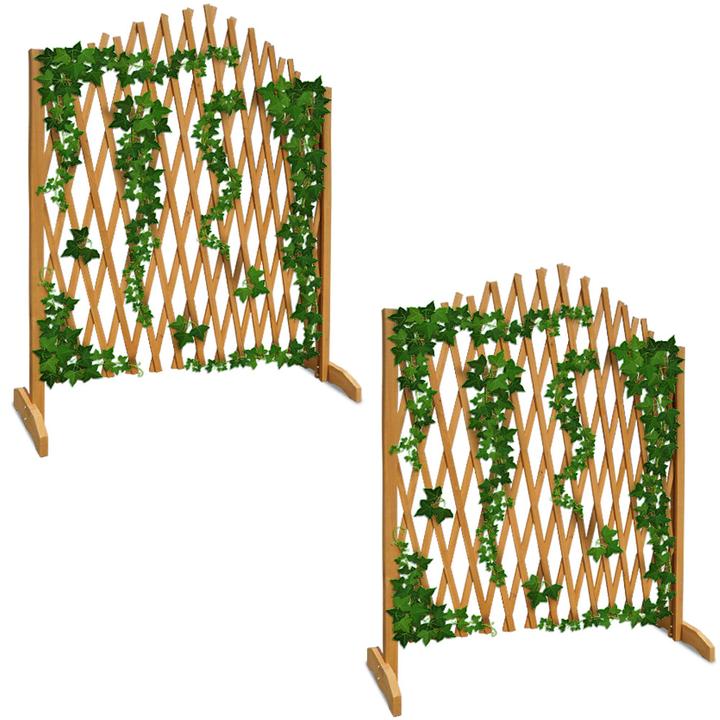 Image du produit Deuba Support pour plantes grimpantes (200 cm, 200 cm)