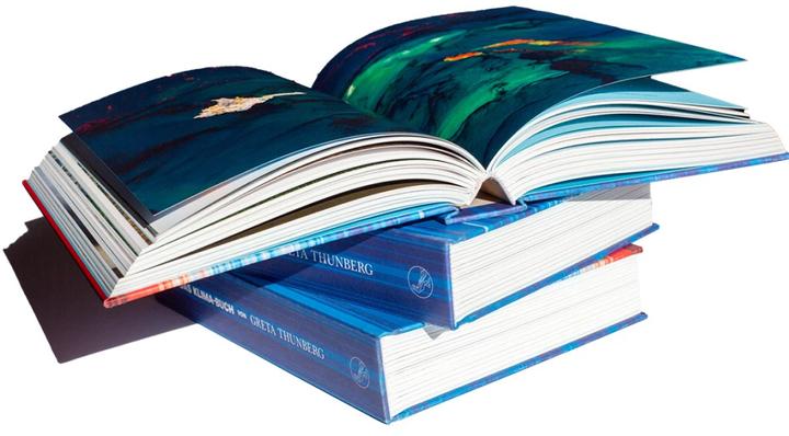 Actual product image Das Klima-Buch von Greta Thunberg (German, Greta Thunberg, 2022)