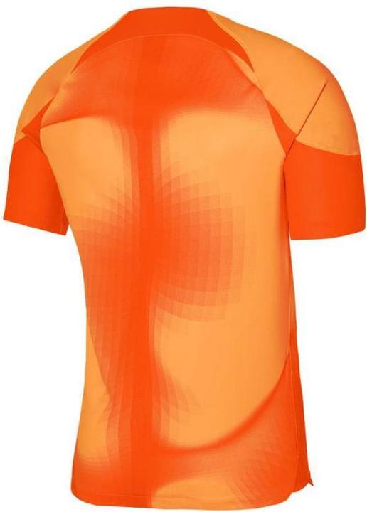 Immagine prodotto Nike Maglia da portiere Gardien IV Uomo (M)