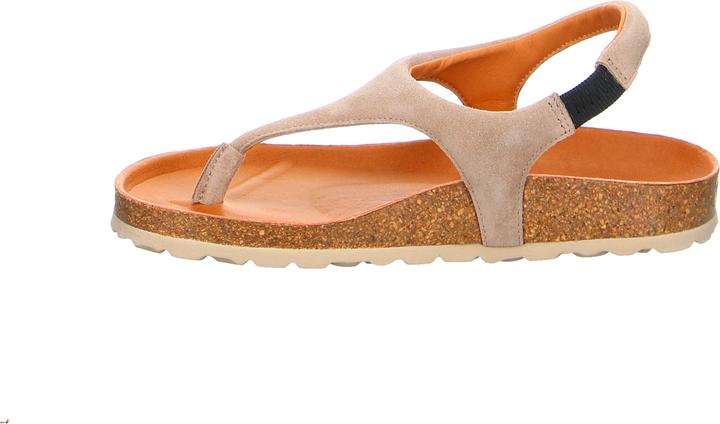 Actual product image Verbenas REAGAN Piedra (38)