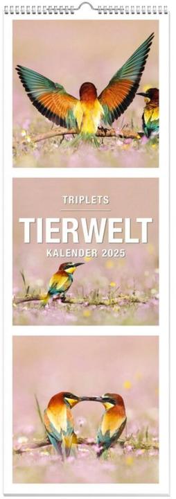 Tiere Triplets Panoramakalender 2025 (Deutsch)