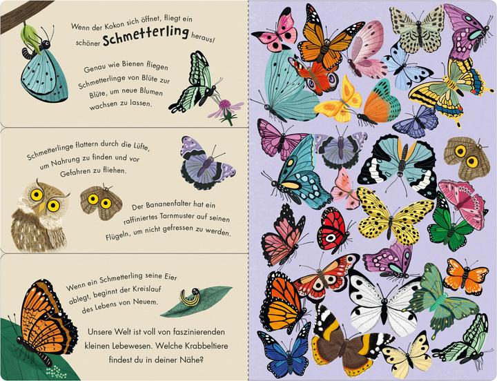 Produktbild Bienen & Käfer – Ein Klipp-Klapp-Buch über Krabbeltiere (Deutsch, Molly Littleboy, 2025)