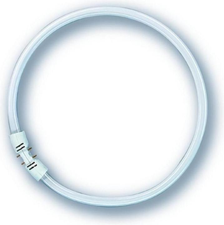 Image du produit Osram Fc 22 W/840 (2GX13, 22 W, 1900 lm, 1 x, G)