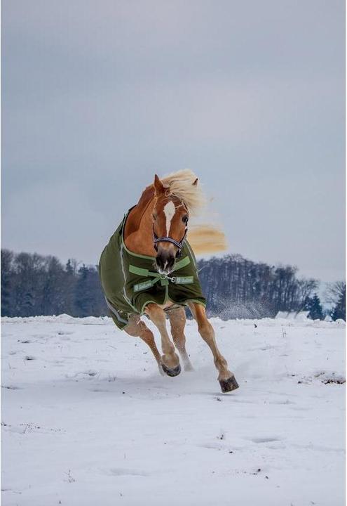 Produktbild Stallone Winterdecke Colorado 300 g (140 cm)