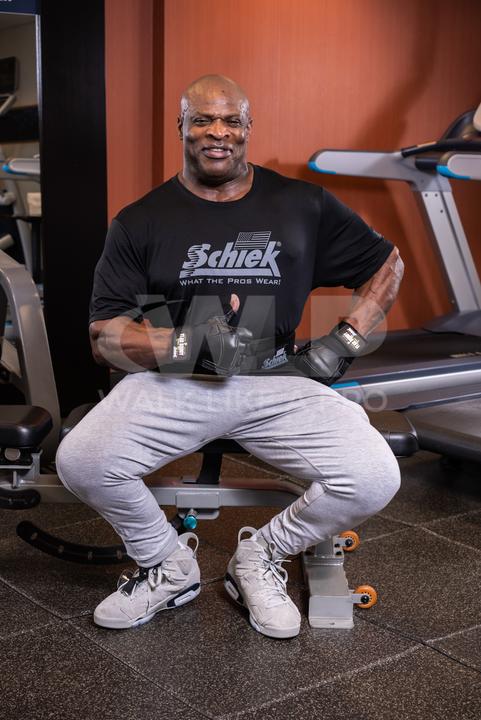 Actual product image Schiek Ronnie Coleman (XXL)