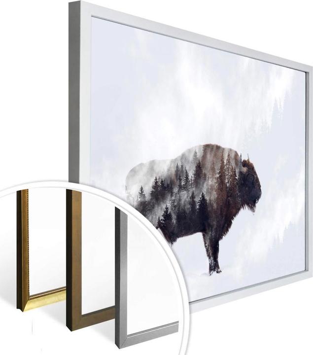 Produktbild Trenddeko Der Bison (80 x 60 cm)