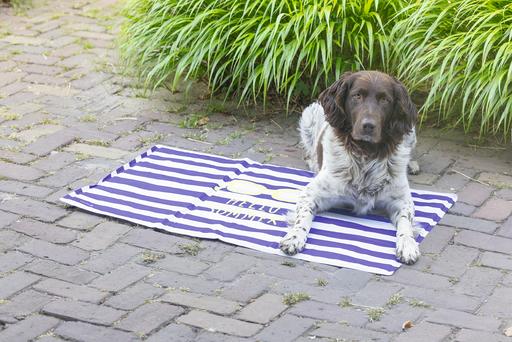 Image du produit Beeztees Kühlmatte Hello Summer (Chien)
