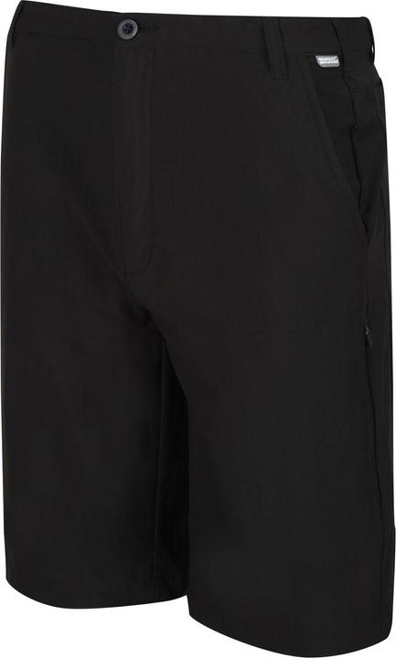 Actual product image Regatta Highton Shorts Hiking (54)