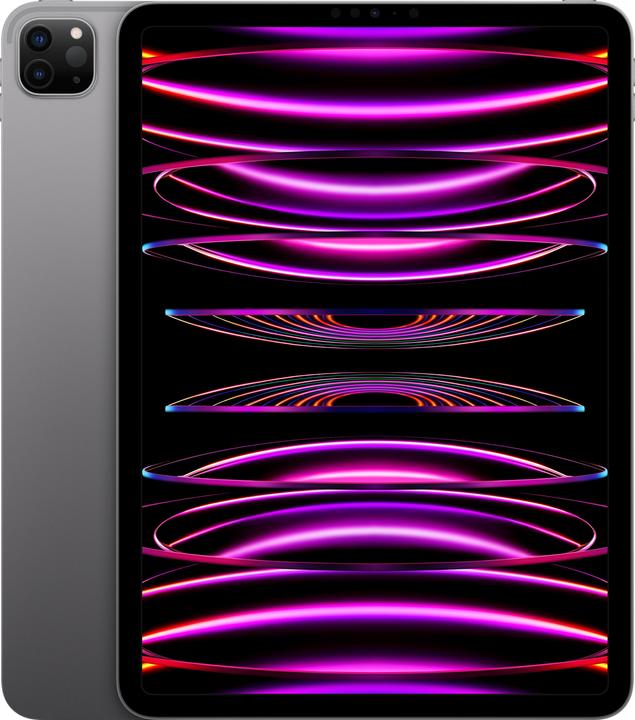 Apple iPad Pro 2022 (4. Gen) (WLAN only, 11", 128 GB, Space grey)