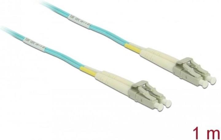 Image du produit Delock Câble de réseau (CAT6, 1 m)