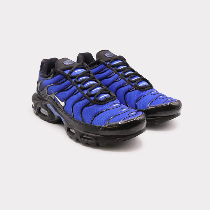 Actual product image Nike Air Max Plus (42.5)