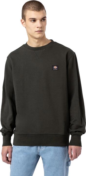 Immagine prodotto Dickies Mount Vista Crew (S)