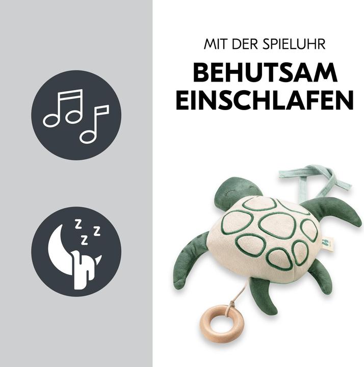 Actual product image Hauck Cuddle N Sleep Turtle