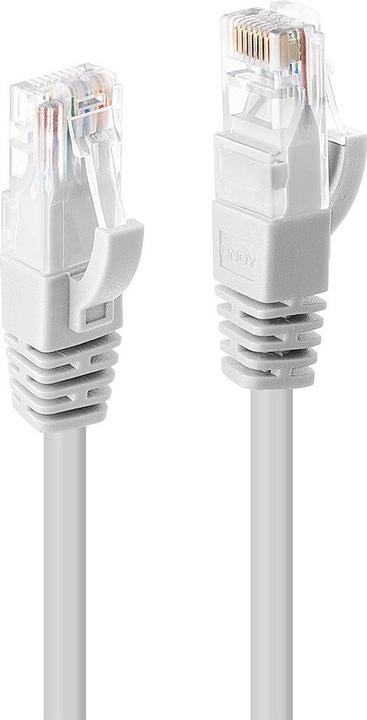 Actual product image Lindy Network cable (UTP, CAT6, 20 m)