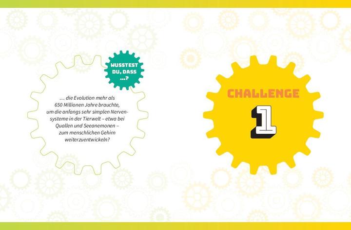 Productafbeelding Die ultimative Rätsel-Challenge Gedächtnistraining (Duits, Naumann & Göbel, 2023)