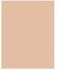 Actual product image Shiseido Synchro Skin Self-Refreshing (103 Fair)