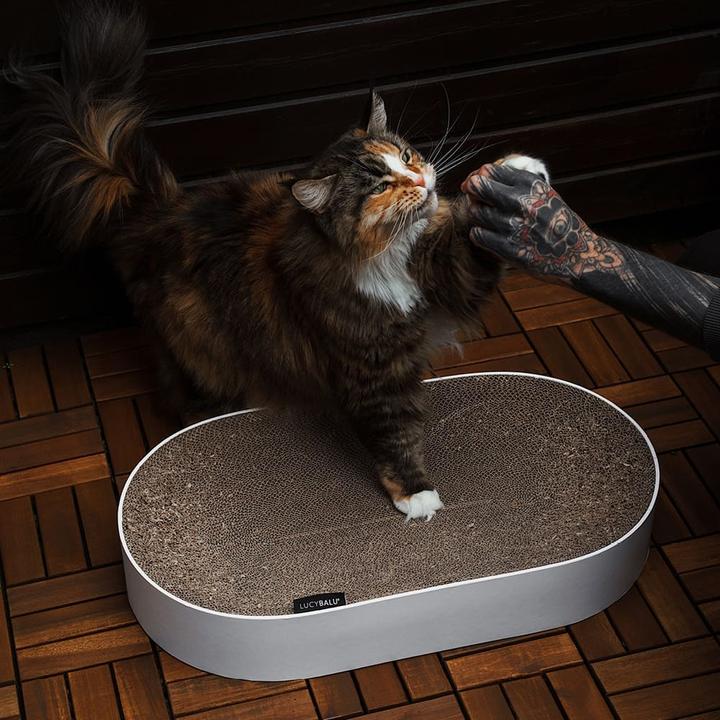 Produktbild LucyBalu SCRATCHBED Kartonbett (Katze)