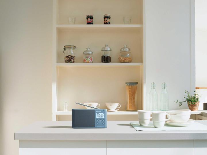 Image du produit Sony Xdr-S41d (DAB+ DAB, FM)