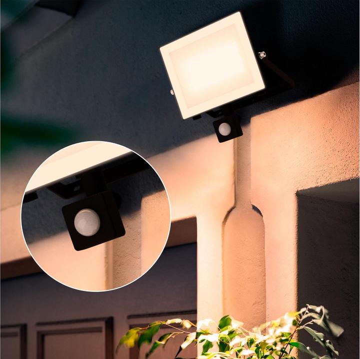 Actual product image Philips Outdoor Flutlicht Lois (4500 lm, IP65)