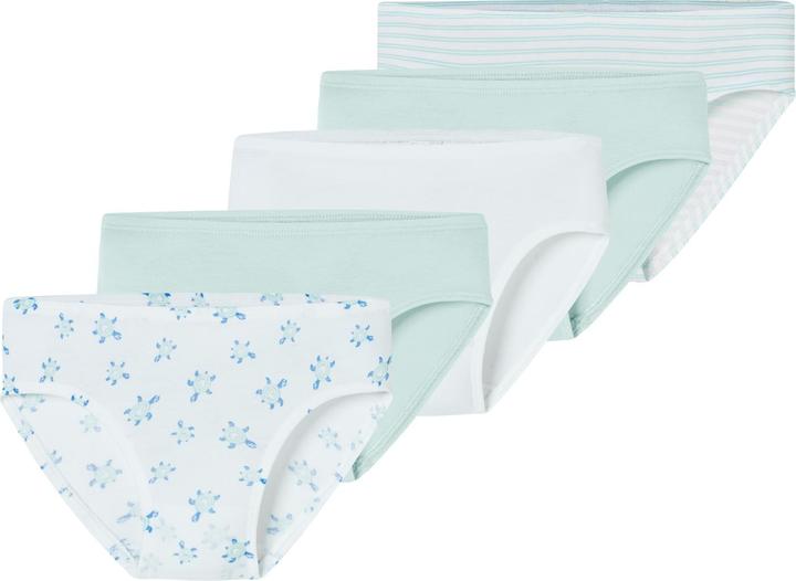 Actual product image Schiesser Briefs 95/5 (104, 5-pack)