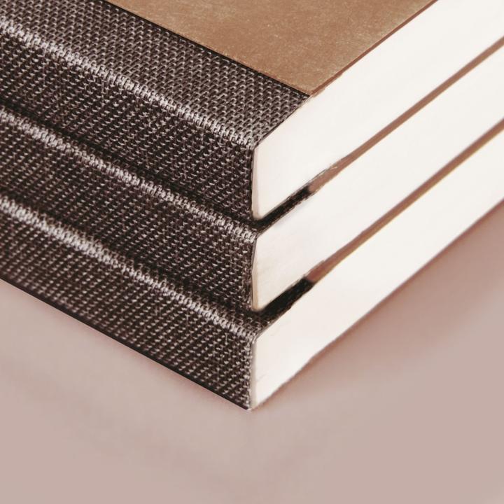 Produktbild Notizbuch FACT!plus DIN A4 punktraster, hellbraun Softcover 192 Seiten (A4, Gepunktet, Harter Einband)