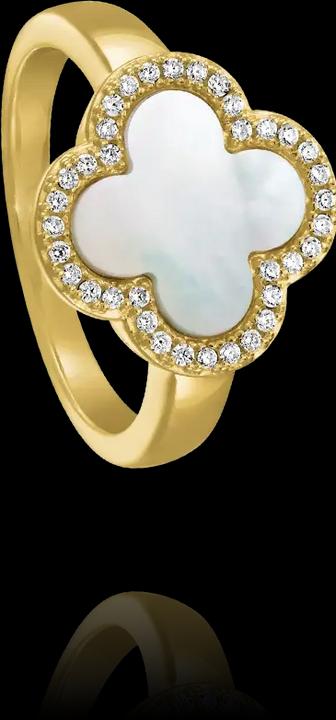 Produktbild Charles Garnier Ring aus vergoldetem Silber, Perlmutt, Zirkonoxid (52)