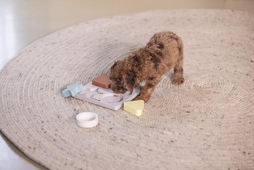 Actual product image Beeztees Puppy braingame Lot (Intelligence toy dog)