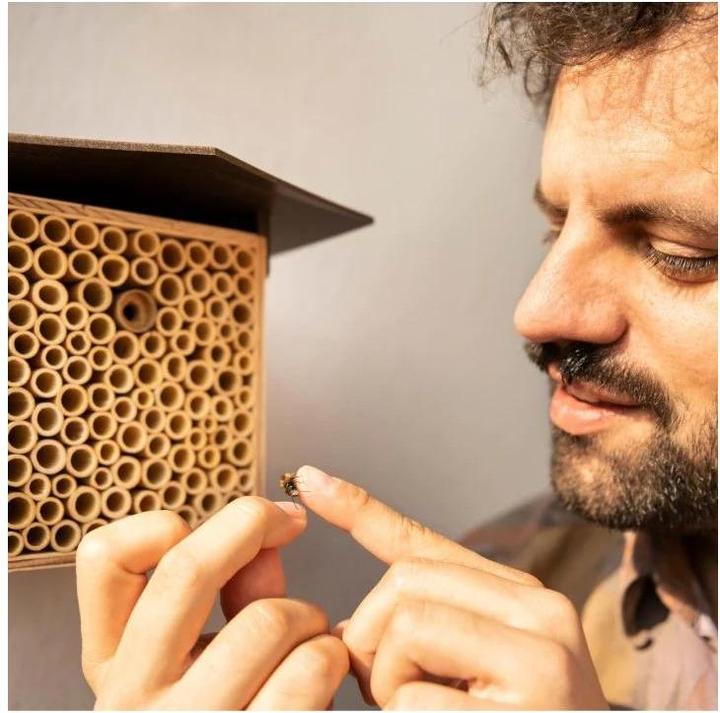 Produktbild Wildbiene BeeHome One (Wildbienen)