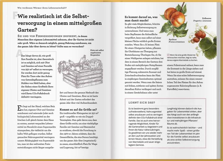 Produktbild Wie verdienen Würmer ihren Lebensunterhalt? (Deutsch, Holly Farrell, Gareth Richards, LV.Buch, 2021)