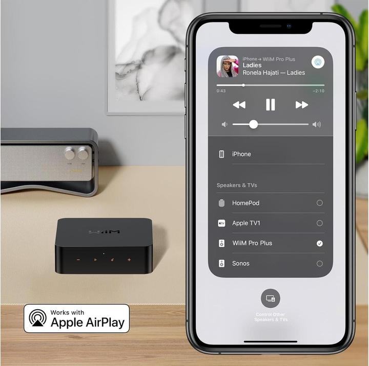 Actual product image WiiM Pro Plus (Network Audio Player)
