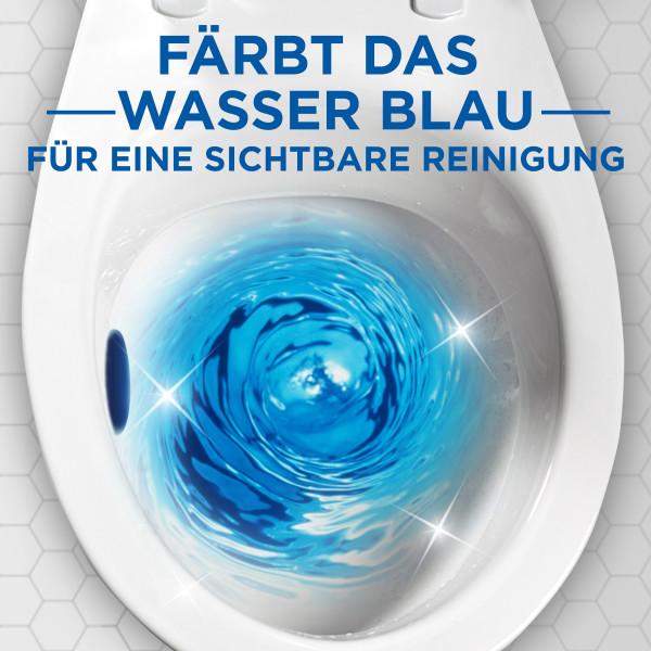 Actual product image WC-Ente Aqua Blue Marine