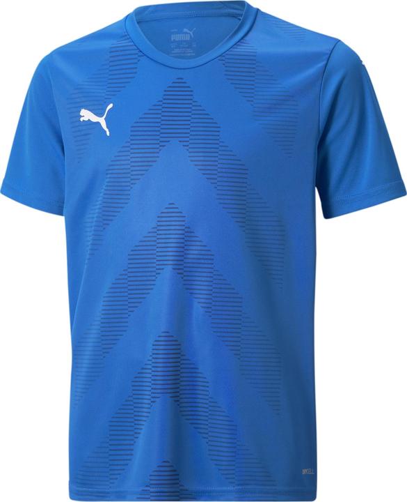 Puma teamGLORY Jersey Jr (128)