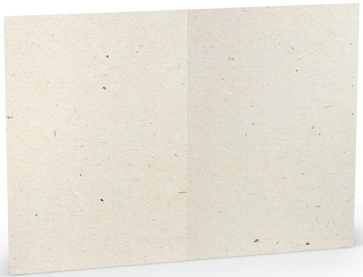 Image du produit Rössler Carte-lettre Paperado Terra vanilla (5 pcs)