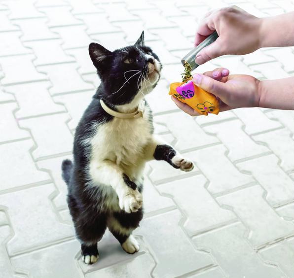 Produktbild KONG Catnip Tubes (Katzenminzespielzeug)