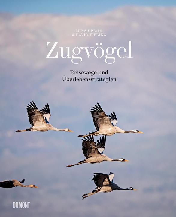 Produktbild Zugvögel (Deutsch, Mike Unwin, 2021)